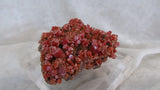 Pure Potential Vanadinite - SOLD - Bisbeeborn - 3
