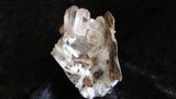 Topaz - Bisbeeborn - 4