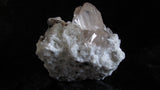 Topaz - Bisbeeborn - 2