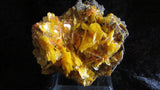 Wulfenite - Bisbeeborn - 2