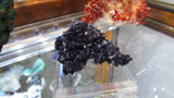 Azurite - Bisbeeborn - 5