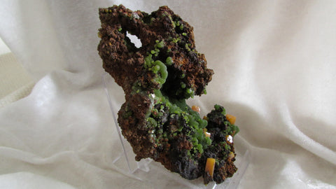 Wulfenite - Bisbeeborn - 1