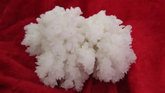 Aragonite - Bisbeeborn - 1