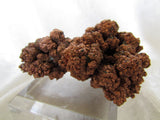 Bisbee Native Copper - Bisbeeborn - 4