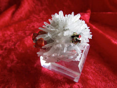 Red Realgar and Shiny Pyrite on Quartz - SOLD - Bisbeeborn - 1