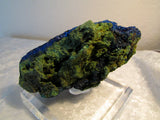 Azurite on Malachite- SOLD - Bisbeeborn - 4